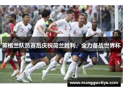 英格兰队员赛后庆祝荷兰胜利，全力备战世界杯