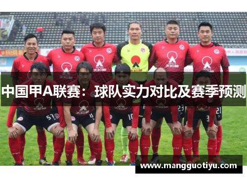 中国甲A联赛：球队实力对比及赛季预测